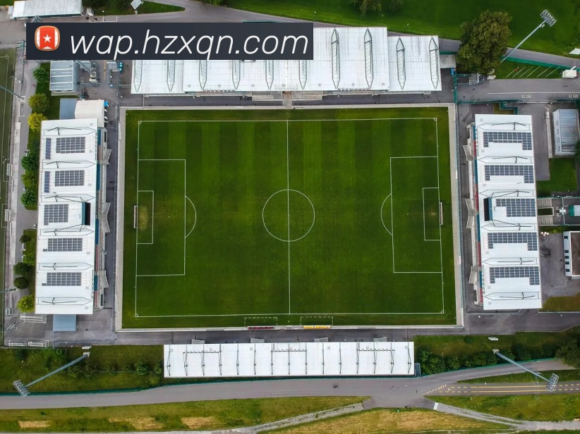 爱游戏体育app官方网站APP 封面图